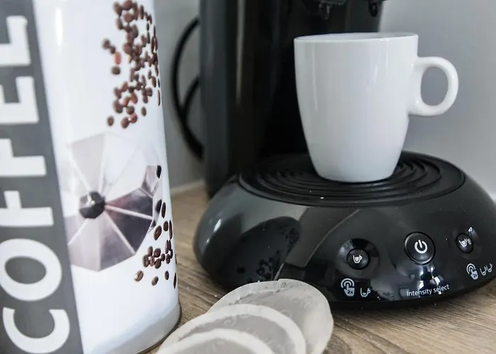 Le Palais Des Thermes * Nancy